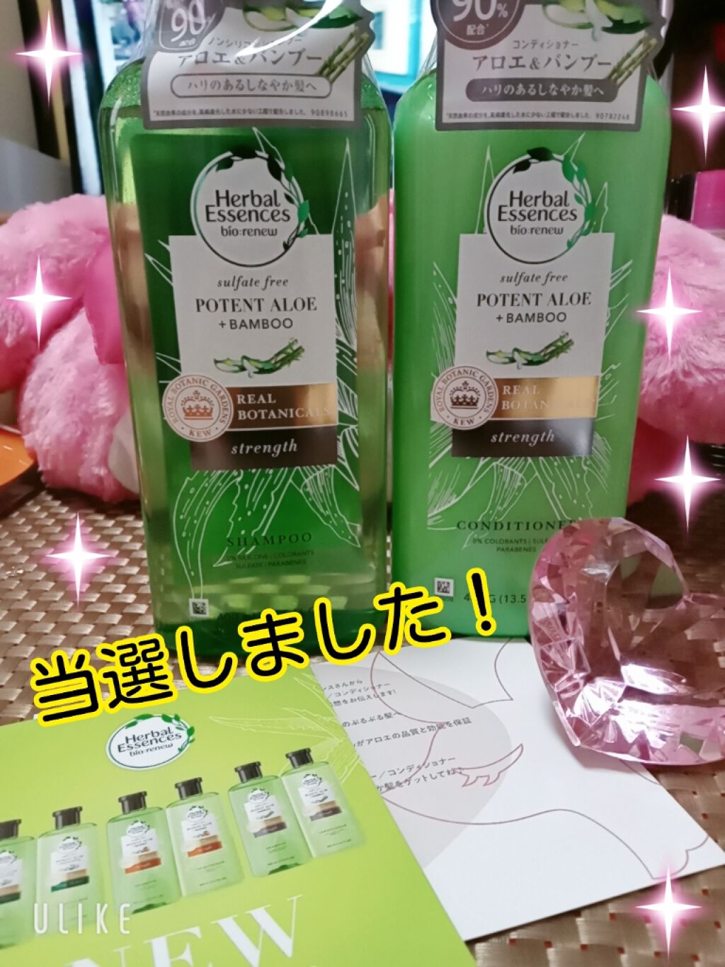 ビオリニュー アロエ＆バンブー シャンプー／コンディショナー/ハーバルエッセンス/市販シャンプーを使ったクチコミ（1枚目）