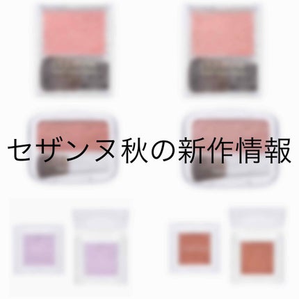 シングルカラーアイシャドウ/CEZANNE/単色アイシャドウを使ったクチコミ(1枚目)