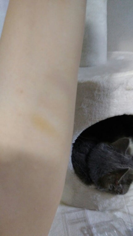 シェーディングパウダー/キャンメイク/シェーディングを使ったクチコミ(3枚目)