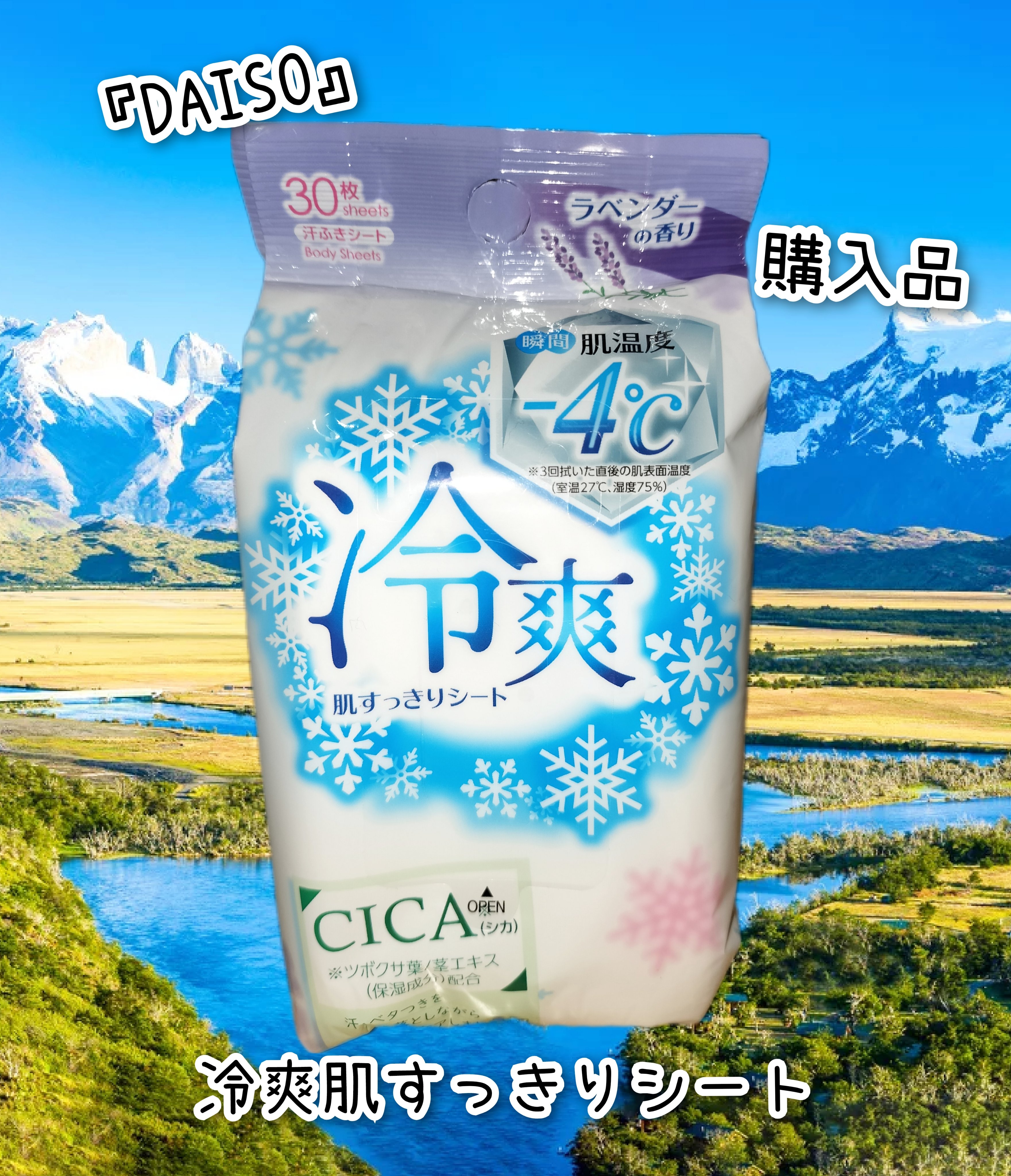 冷爽肌すっきりシート(汗ふきシート)/DAISO/ボディシートを使ったクチコミ（1枚目）