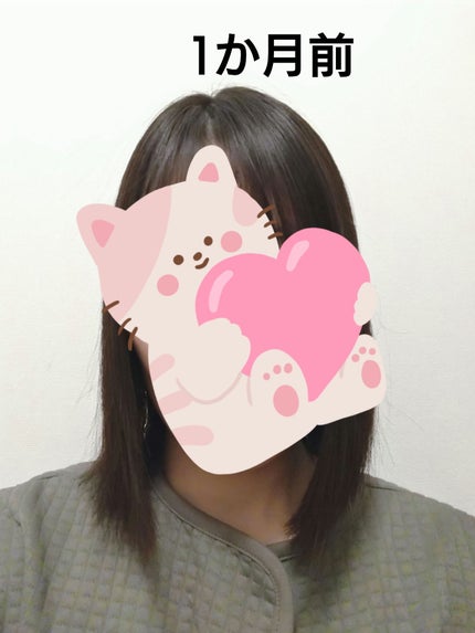 ビタミンC/Dear-Natura (ディアナチュラ)/健康サプリメントを使ったクチコミ(4枚目)