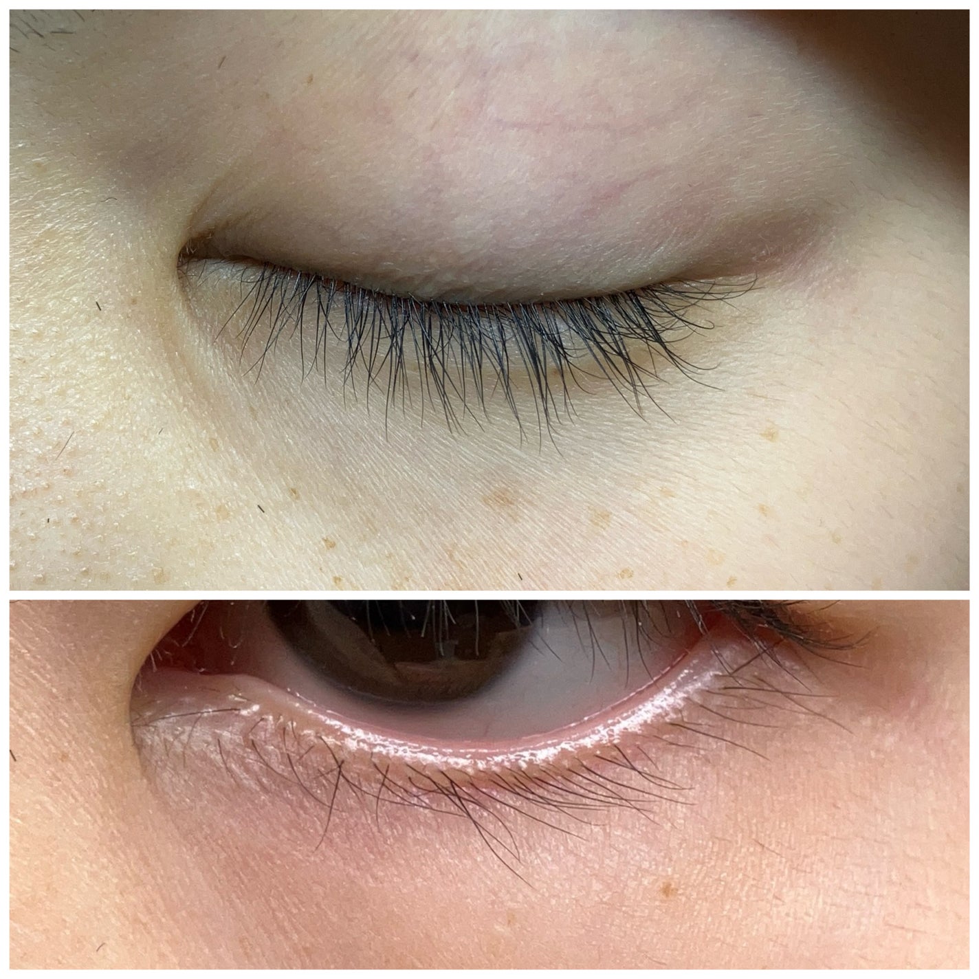 ロングアクティブアイラッシュセラム/COSNORI/まつげ美容液を使ったクチコミ(2枚目)