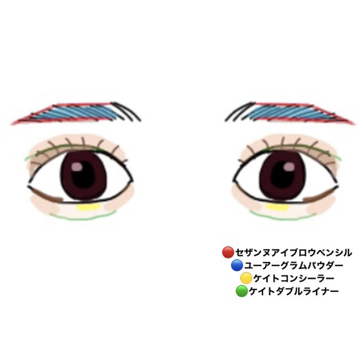 クイックラッシュカーラー/キャンメイク/マスカラ下地を使ったクチコミ（2枚目）