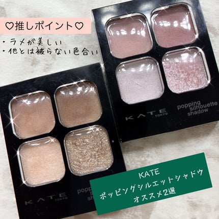 ケイト ポッピングシルエットシャドウ/KATE/アイシャドウパレットを使ったクチコミ(1枚目)