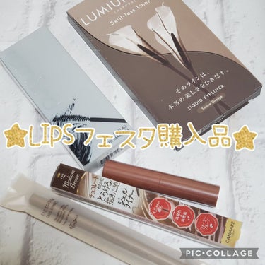 スキルレスライナー/LUMIURGLAS/リキッドアイライナーを使ったクチコミ（1枚目）