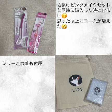 マスカラセット LIPSフェスタ Winter 2023/LIPS/メイクアップキットを使ったクチコミ(4枚目)