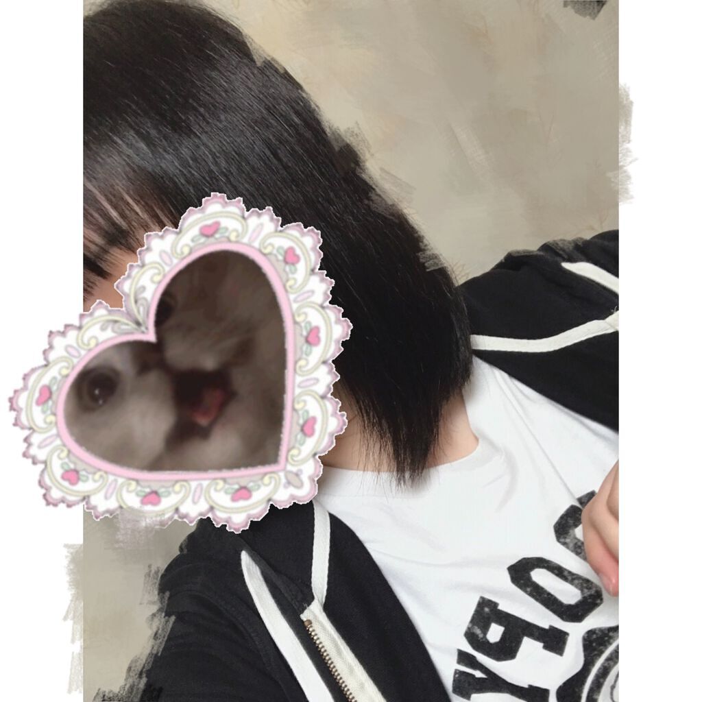 ãã«ã³ã ã¢ã€ã¹ããªããçŸå®¹æ¶²ã·ã£ã³ããŒïŒã¢ã€ã¹ããªãããªãã¢çŸå®¹æ¶²ããªãŒãã¡ã³ã/Purunt./åžè²©ã·ã£ã³ããŒã䜿ã£ãã¯ãã³ãïŒ2æç®ïŒ
