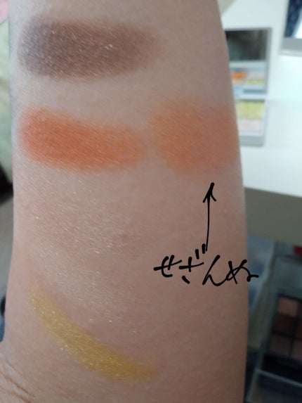 グロッシーリッチ アイズ N/Visée/アイシャドウパレットを使ったクチコミ(2枚目)