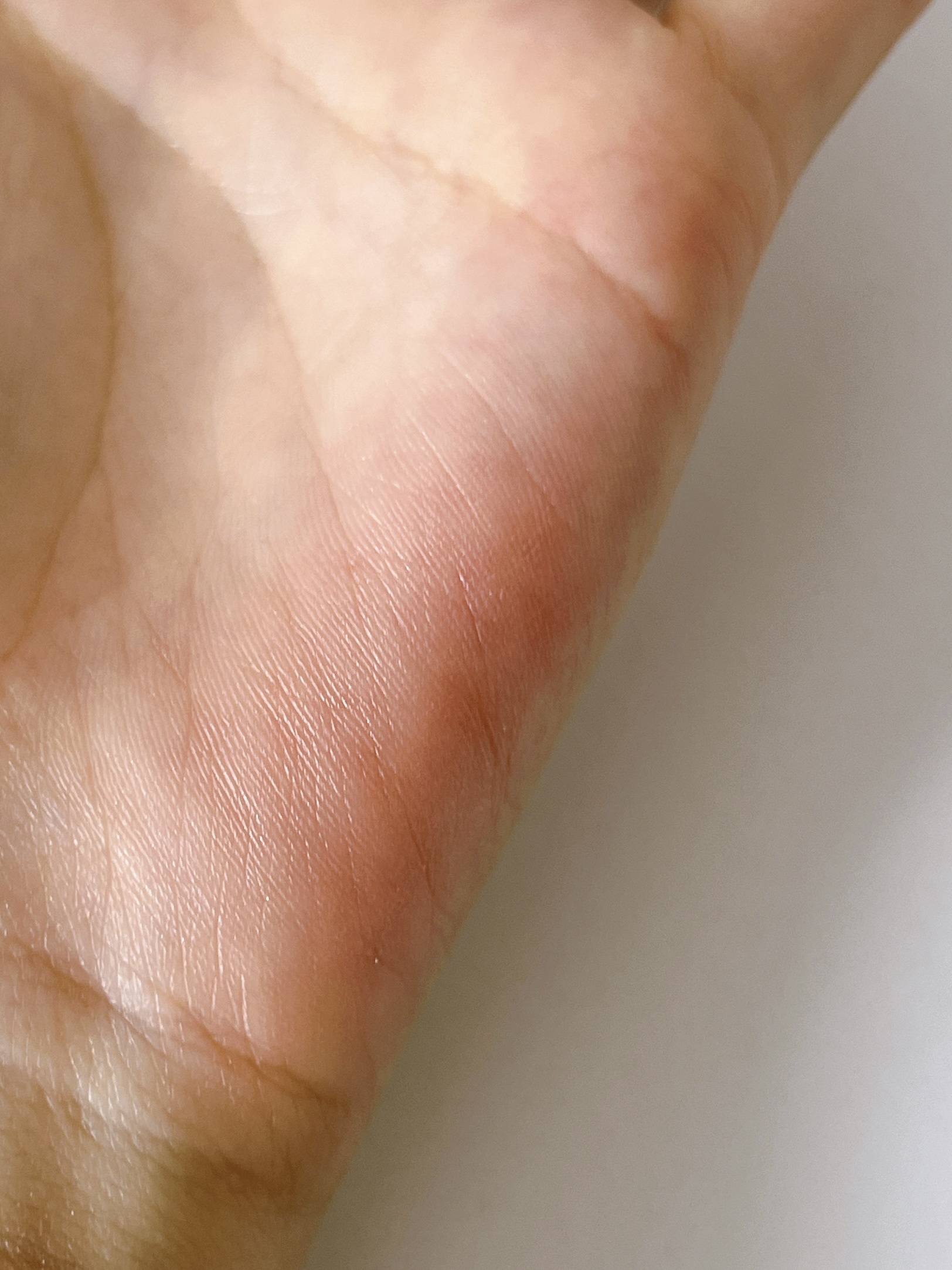 ミックスカラーチークN/CEZANNE/パウダーチークを使ったクチコミ（3枚目）