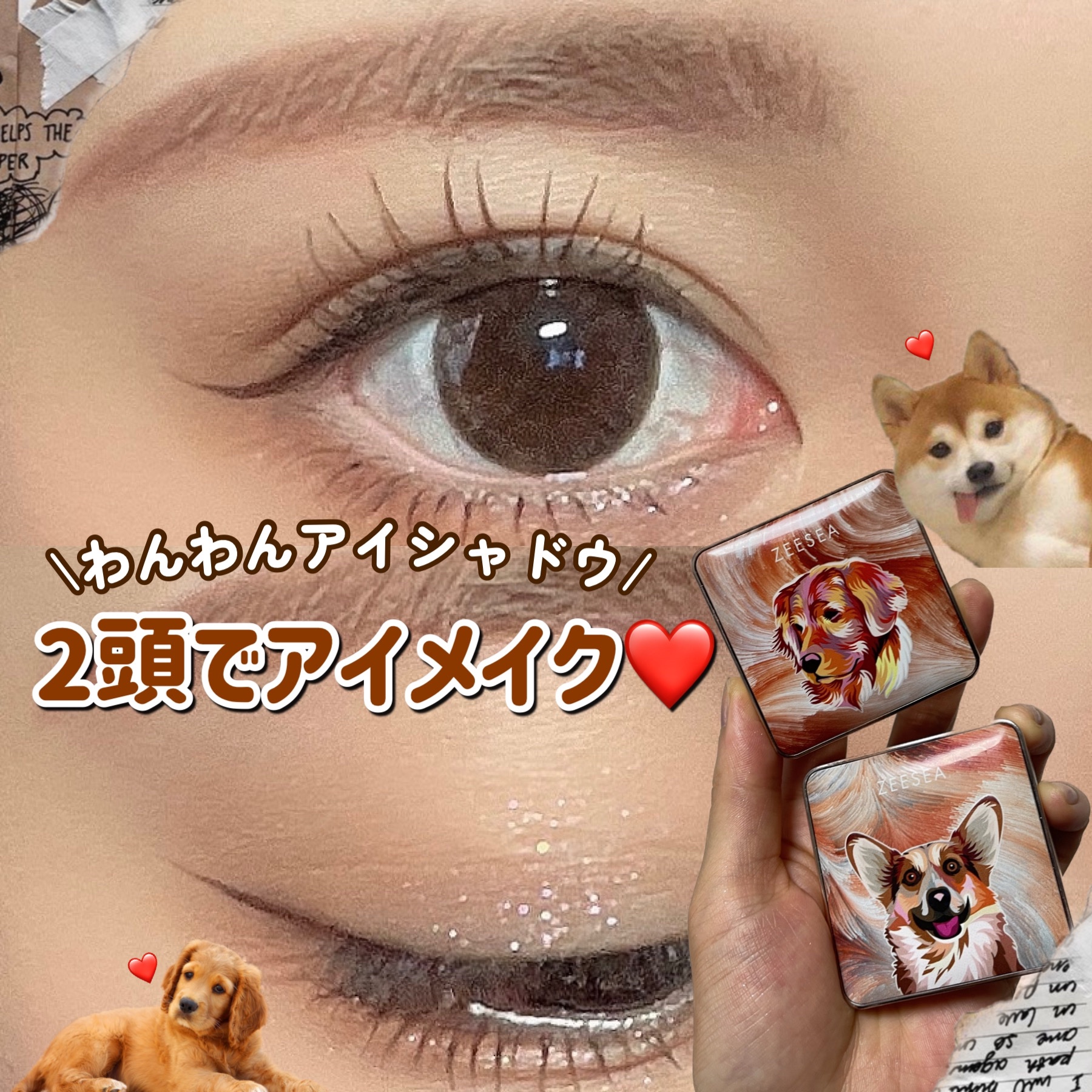 アニマルアイシャドウ(4シェード)/ZEESEA/アイシャドウパレットを使ったクチコミ（1枚目）