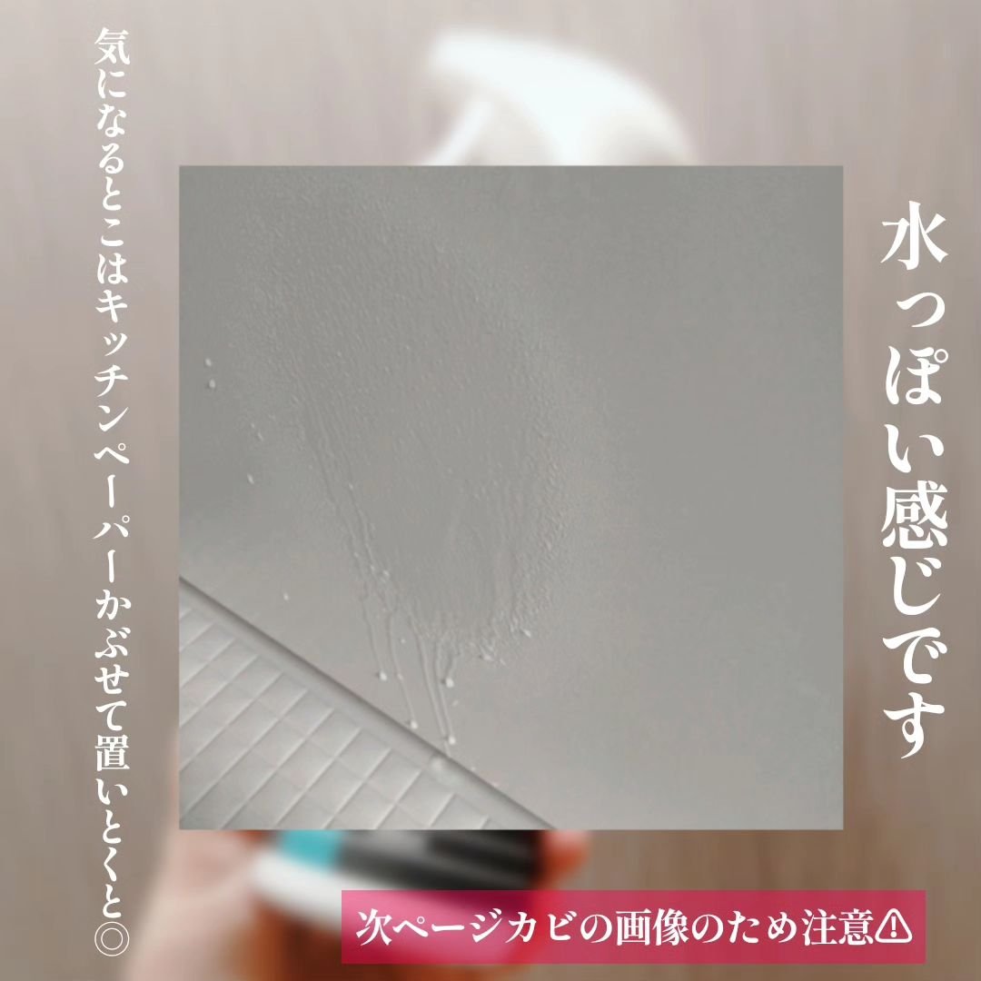 Mol clear Pro/ホコニコ/その他を使ったクチコミ（2枚目）