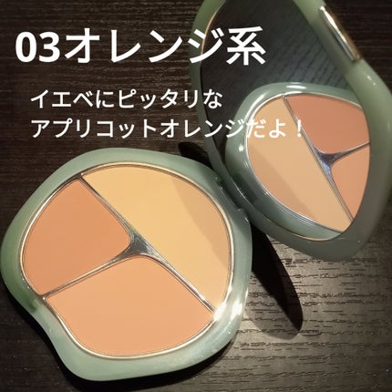 TIMAGE 3色チークパレット/TIMAGE/パウダーチークを使ったクチコミ(2枚目)