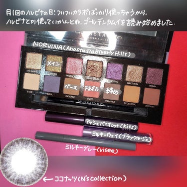 NORVINA/アナスタシア ビバリーヒルズ/アイシャドウパレットを使ったクチコミ（2枚目）