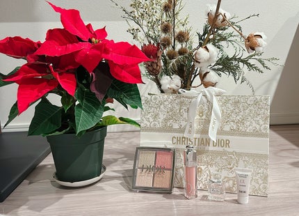 ディオール バックステージ フェイス グロウ パレット/Dior/ハイライトを使ったクチコミ(3枚目)