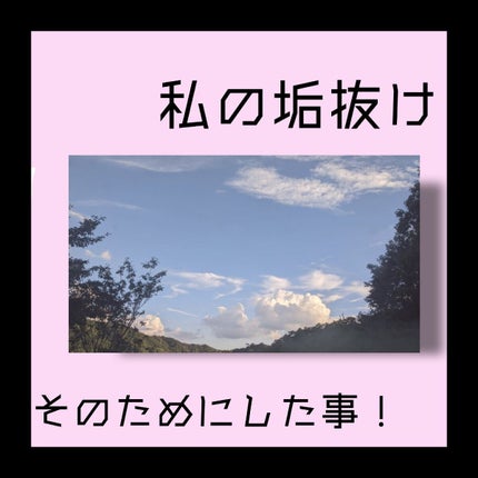 を使ったクチコミ(1枚目)