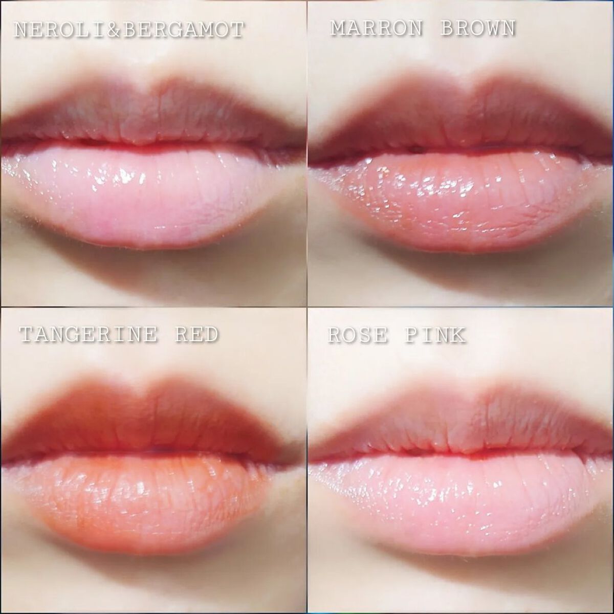 アルジェランのリップケア カラーリップスティック＆モイストリップ