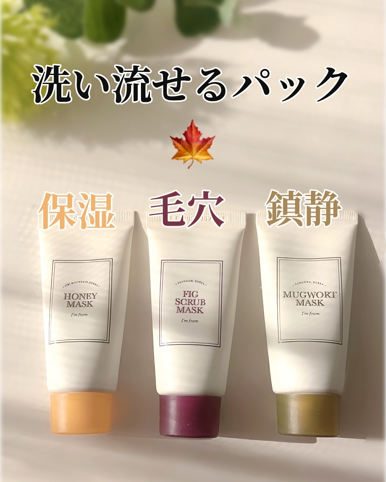 マグワートマスク/I'm from/洗い流すパック・マスクを使ったクチコミ（1枚目）