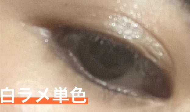 アイカラー デュオ/PAUL & JOE BEAUTE/アイシャドウパレットを使ったクチコミ(7枚目)