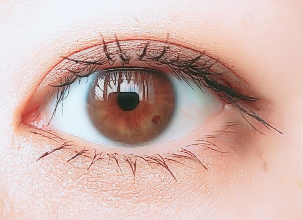 ボリュームエクステンション マスカラ/D-UP/マスカラを使ったクチコミ（2枚目）