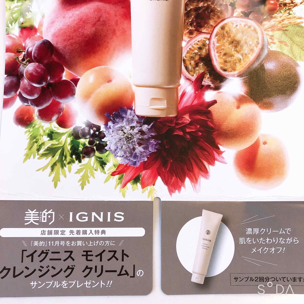 モイスト クレンジング クリーム/IGNIS/クレンジングクリームを使ったクチコミ(2枚目)