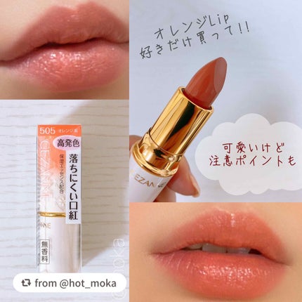 ラスティング リップカラーN/CEZANNE/口紅を使ったクチコミ(1枚目)