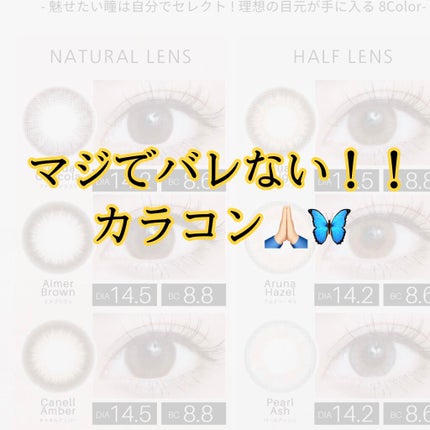 TeAmo 1DAY/TeAmo/ワンデー(1DAY)カラコンを使ったクチコミ(1枚目)