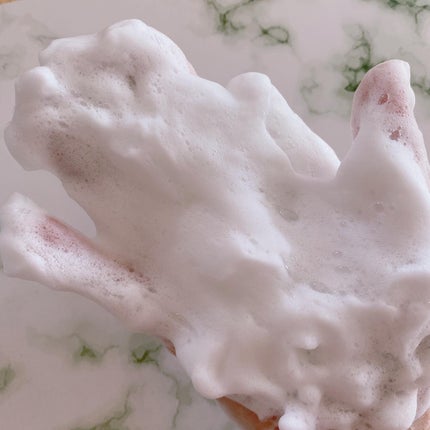 カラーフードシリーズブルーバランシングフォームクレンザー/Tovegan/洗顔フォームを使ったクチコミ(5枚目)