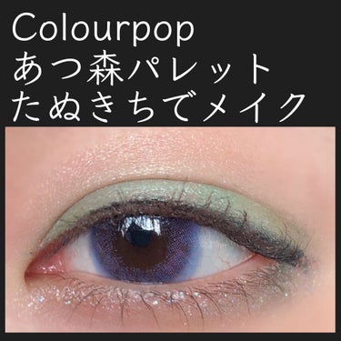 Nook Inc/ColourPop/アイシャドウパレットを使ったクチコミ（1枚目）