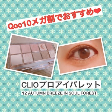 プロ アイ パレット/CLIO/アイシャドウパレットを使ったクチコミ（1枚目）