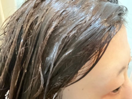 バスグロウ ディープモイスチャー&シャイン シャンプー/トリートメント/LUX/市販シャンプーを使ったクチコミ(5枚目)