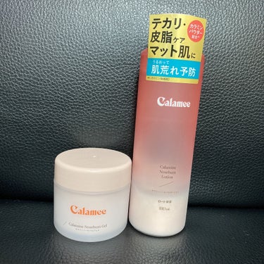 カラミンノーセバムローション/Calamee/化粧水を使ったクチコミ（2枚目）