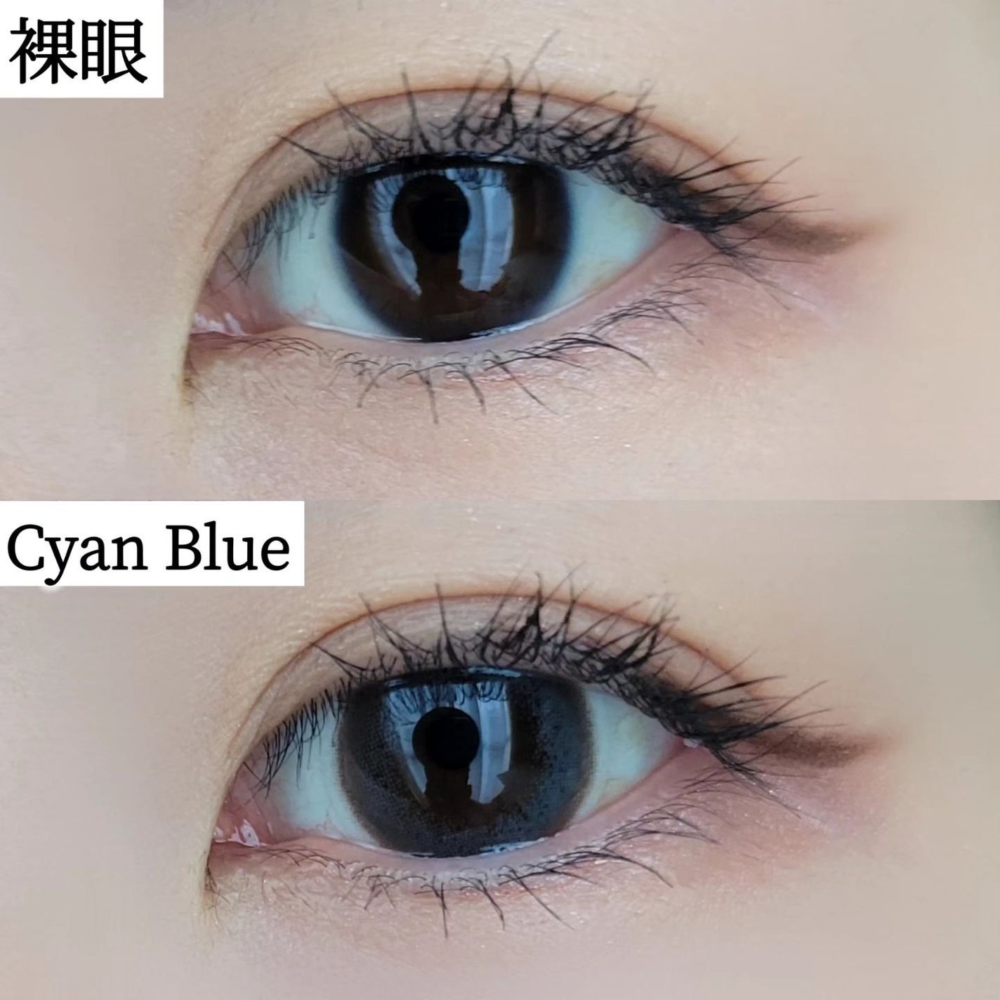 ラブイット ワンデー(10枚)/love it/カラーコンタクトレンズを使ったクチコミ(8枚目)