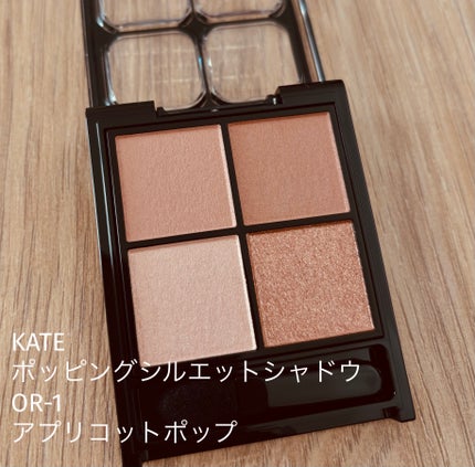 ã±ã€ã ãããã³ã°ã·ã«ãšããã·ã£ããŠ/KATE/ã¢ã€ã·ã£ããŠãã¬ããã䜿ã£ãã¯ãã³ãïŒ1æç®ïŒ