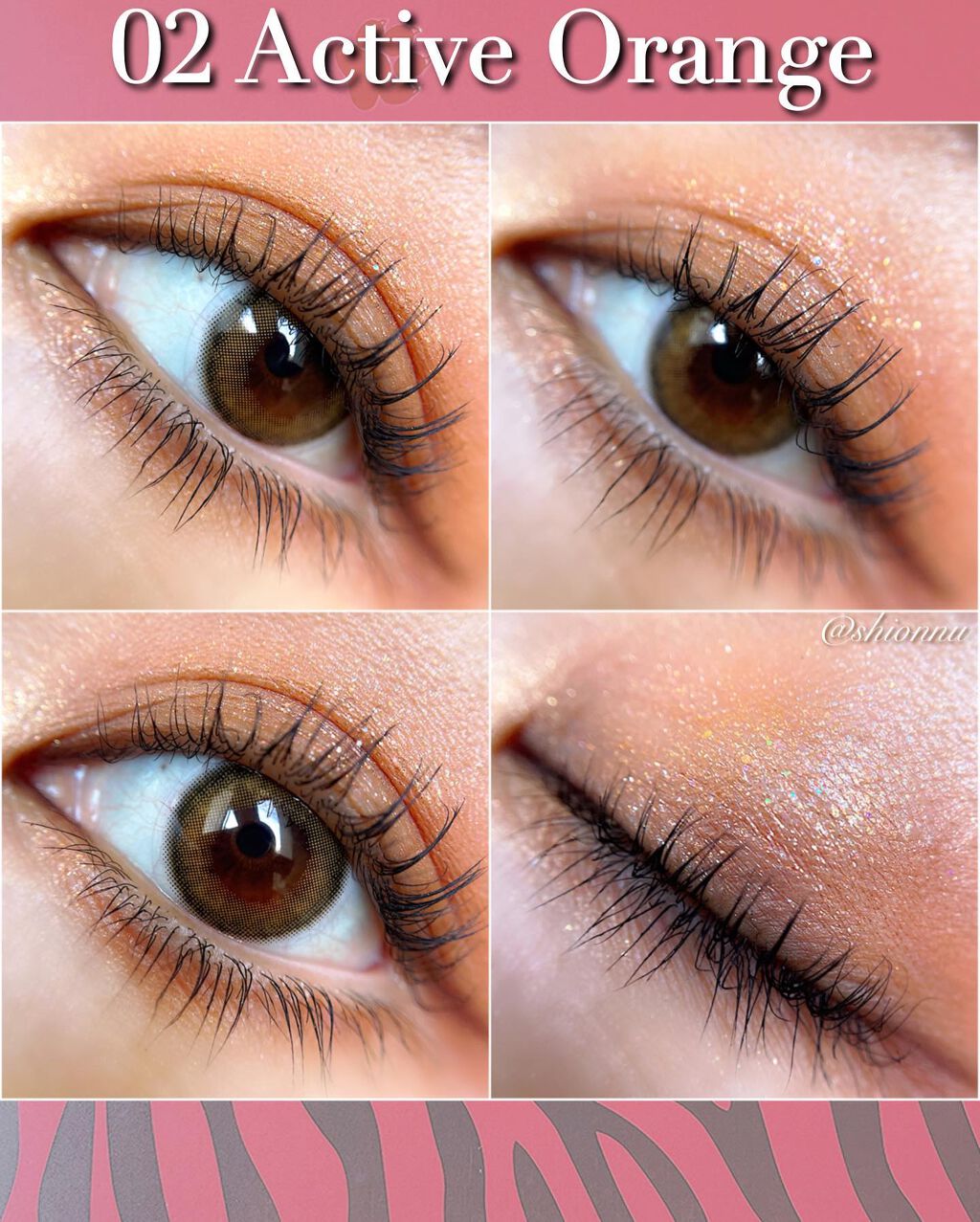 TIGER MAKEUP PALETTE/COLORKEY/アイシャドウパレットを使ったクチコミ（2枚目）