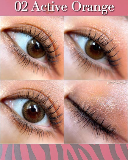 TIGER MAKEUP PALETTE/COLORKEY/アイシャドウパレットを使ったクチコミ(2枚目)