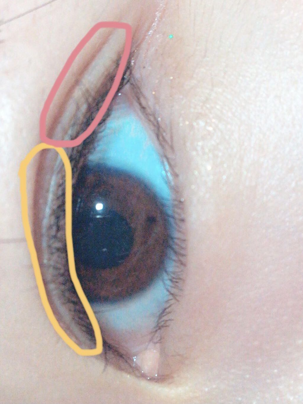 のびーるアイテープ（絆創膏タイプ、レギュラー）/DAISO/二重まぶた用アイテムを使ったクチコミ（2枚目）