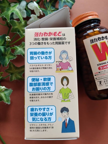 強力わかもと/わかもと製薬/健康サプリメントを使ったクチコミ(3枚目)