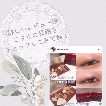 トラ十色アイシャドウパレット/COLORKEY/アイシャドウパレットを使ったクチコミ(4枚目)
