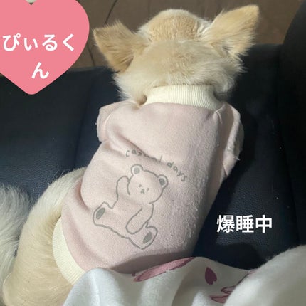 オールデイ ロング アンド カール マスカラ/Milk Touch/マスカラを使ったクチコミ(6枚目)