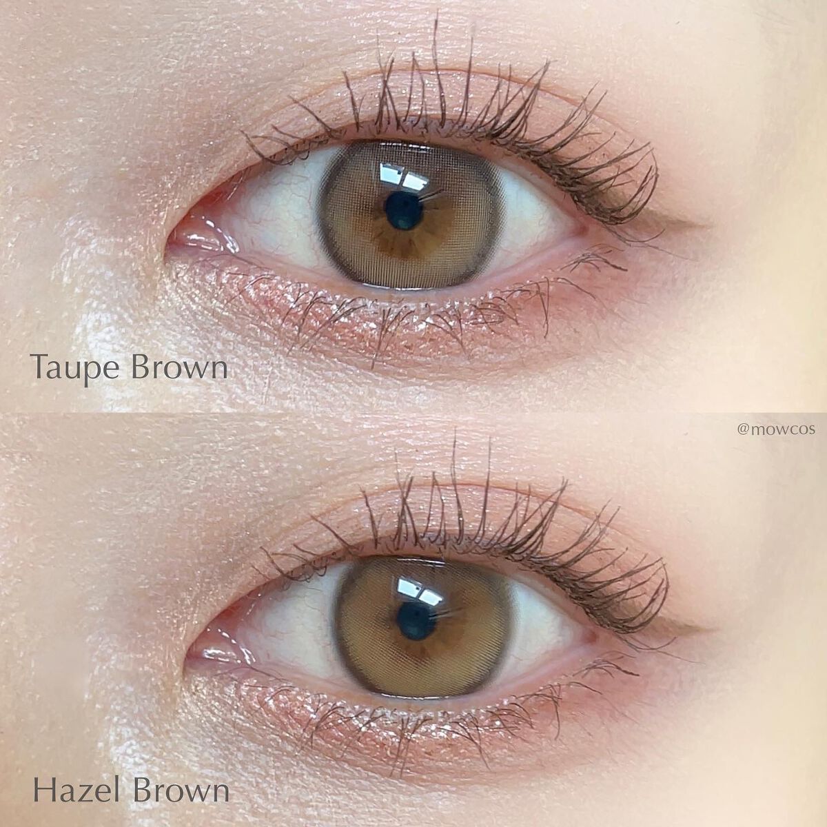 ピュアリティーシャインワンデー(PURITYSHINE 1day)/OLOLA/ワンデー(1DAY)カラコンを使ったクチコミ(3枚目)