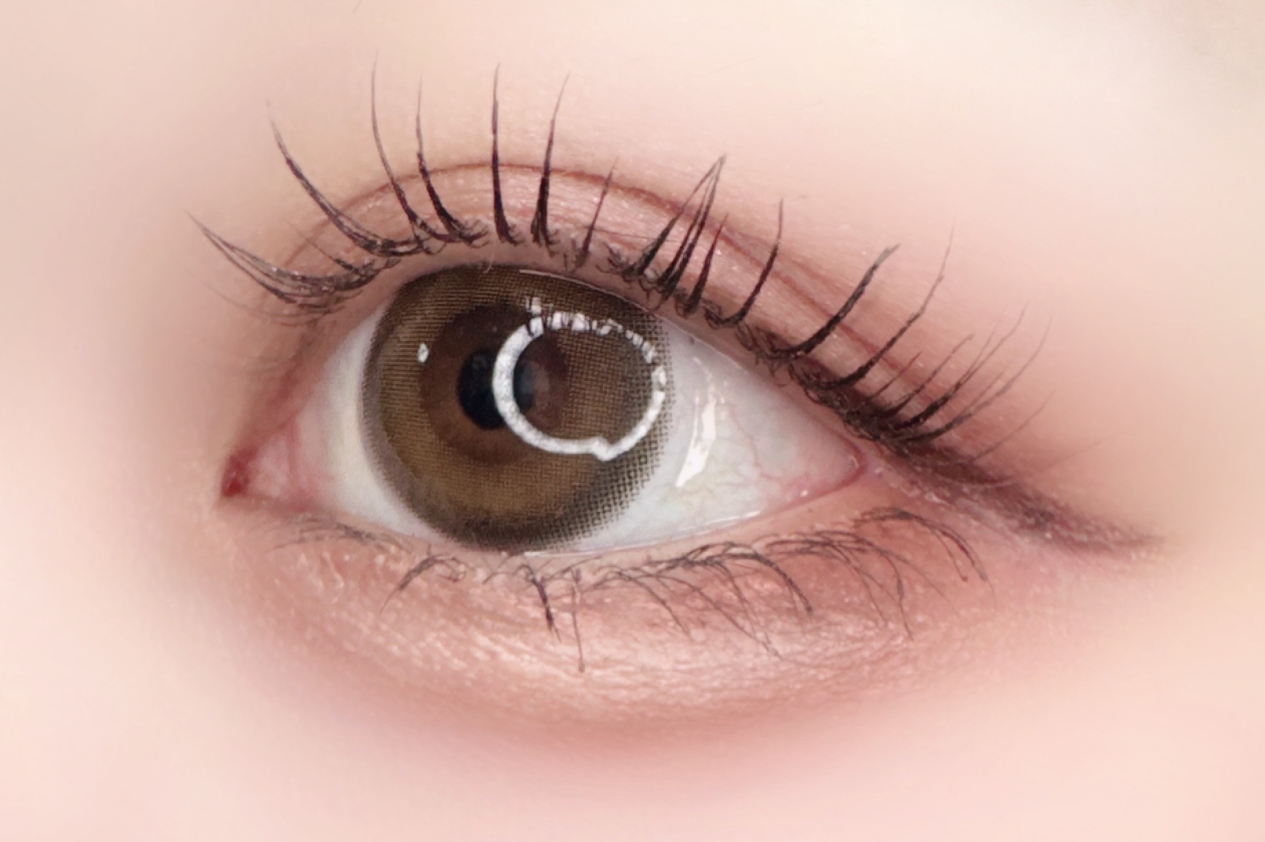 melady 1day  ミレディブラウン/melady/ワンデー（１DAY）カラコンを使ったクチコミ（2枚目）