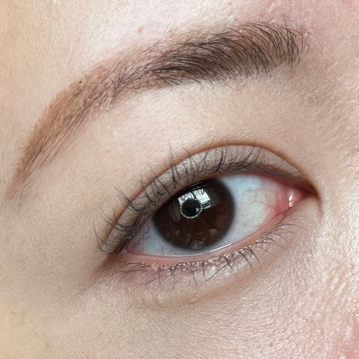 ピメル うそつきマスカラ/pdc/マスカラを使ったクチコミ(7枚目)