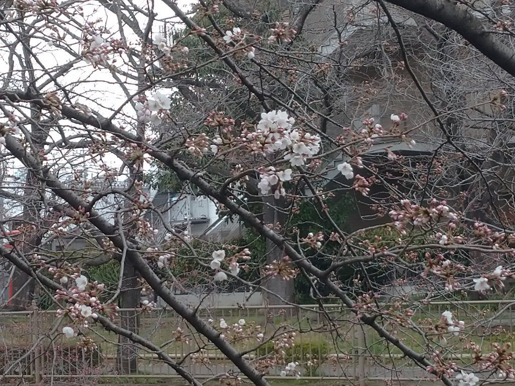 アイシャドウパレット/U R GLAM/アイシャドウパレットを使ったクチコミ（2枚目）