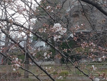 UR GLAM BLOOMING EYE COLOR PALETTE/U R GLAM/アイシャドウパレットを使ったクチコミ(2枚目)