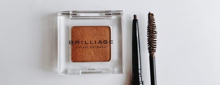 ワンダークリエイション /ブリリアージュ/単色アイシャドウを使ったクチコミ(4枚目)