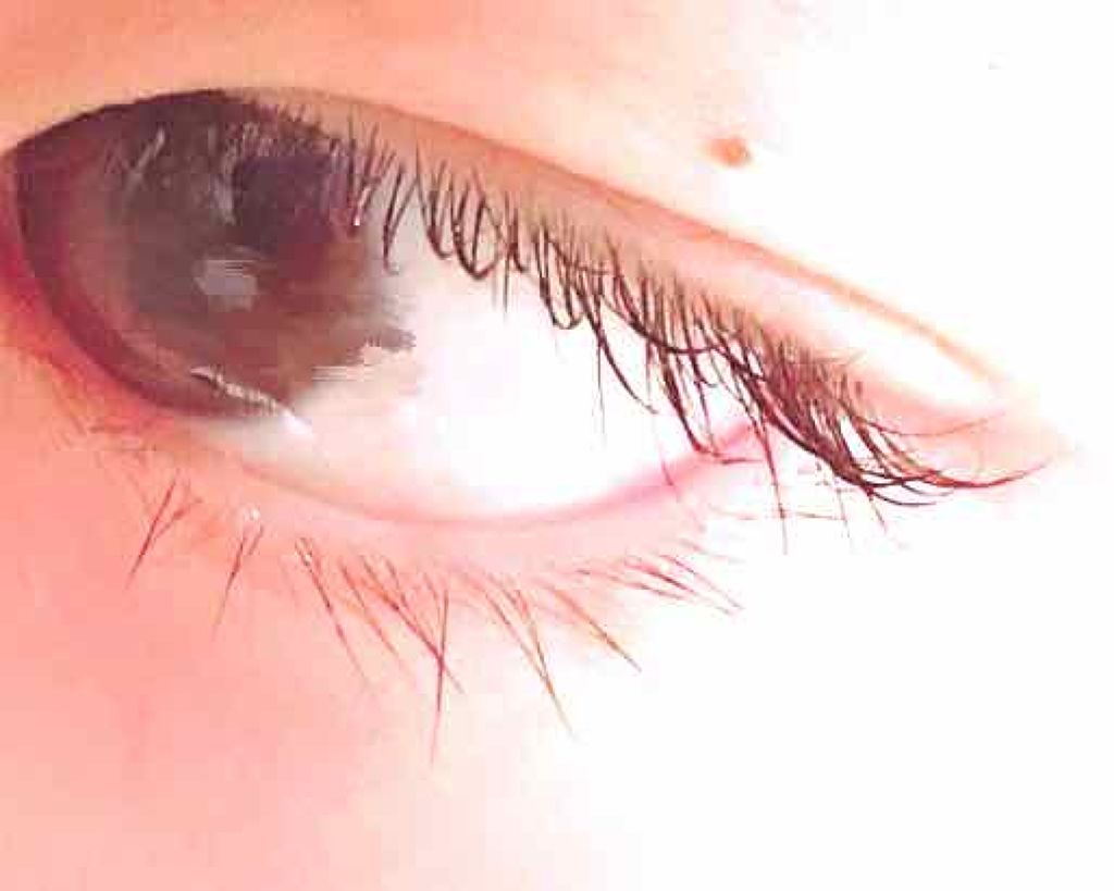 ラッシュジェリードロップ/MAJOLICA MAJORCA/まつげ美容液を使ったクチコミ(2枚目)