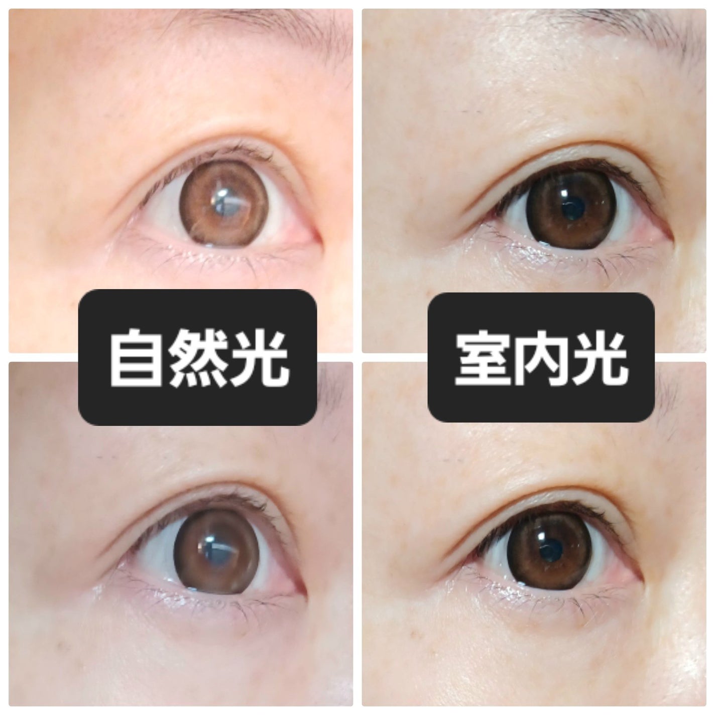 Victoria(ヴィクトリア)2week/Victoria/2週間(2WEEKS)カラコンを使ったクチコミ(2枚目)