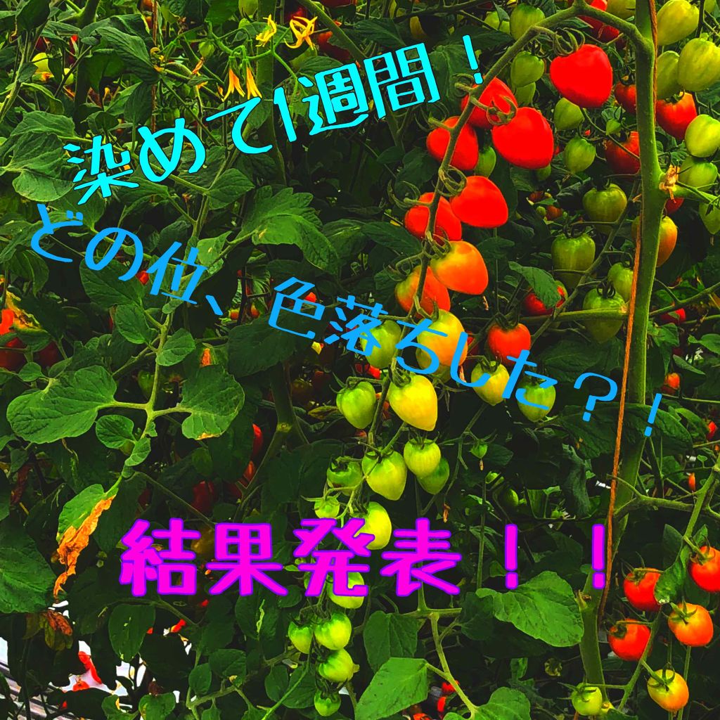 2トーン トリートメントヘアカラー/ETUDE/ヘアカラーを使ったクチコミ（1枚目）