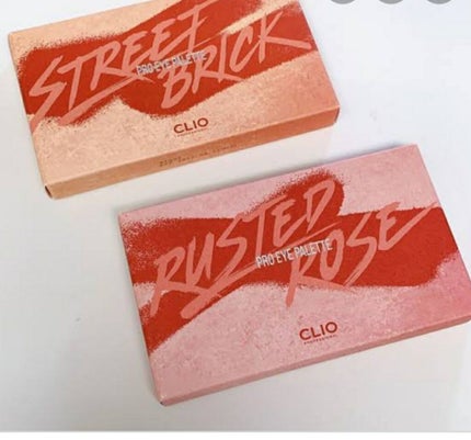 プロ シングル シャドウ/CLIO/単色アイシャドウを使ったクチコミ(1枚目)