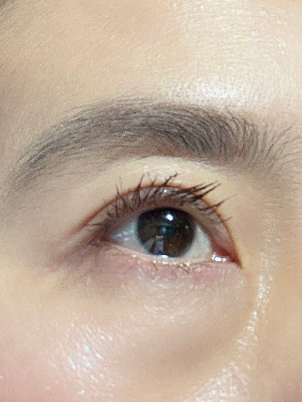 オールデイ ボリュームアンドカールマスカラ/Milk Touch/マスカラを使ったクチコミ(4枚目)